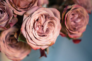 roses self-love Bhakti